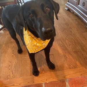 Meet your Posher, Katey